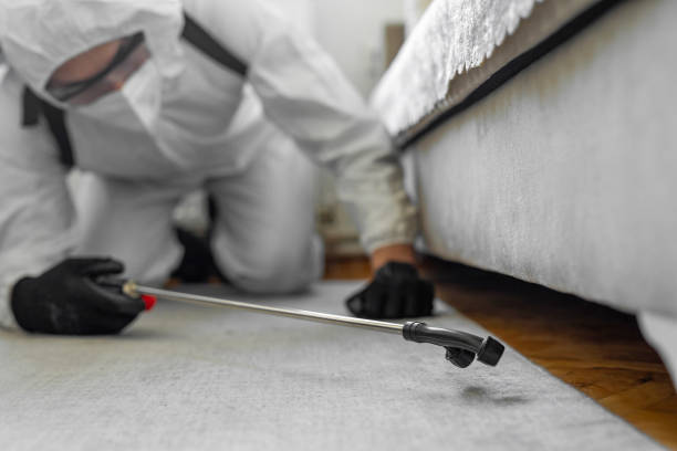 Professional Termite Control technician working in Marengo, IA