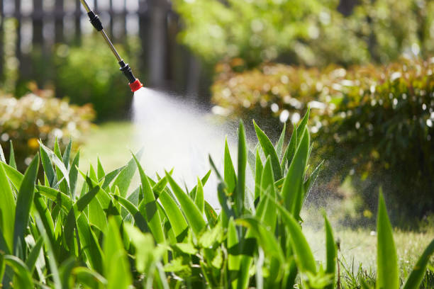 24/7 Emergency Termite Control experts in Marengo, IA