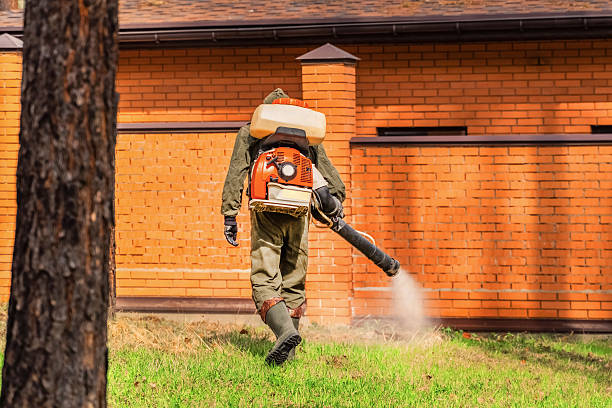 Top rated local Termite Control specialists in Marengo, IA
